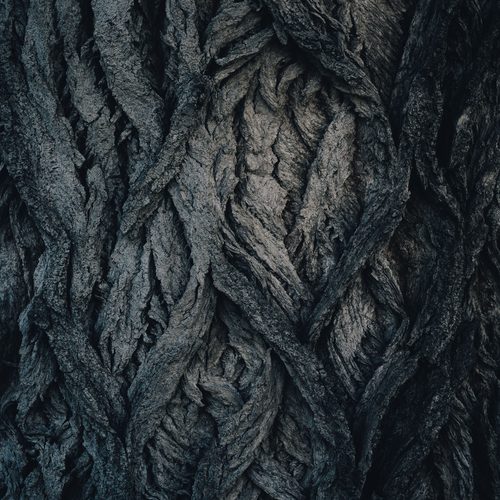 Woven bark textures