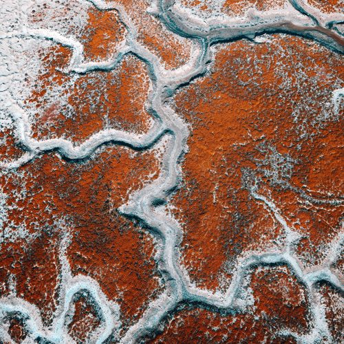 Salt flat river veins